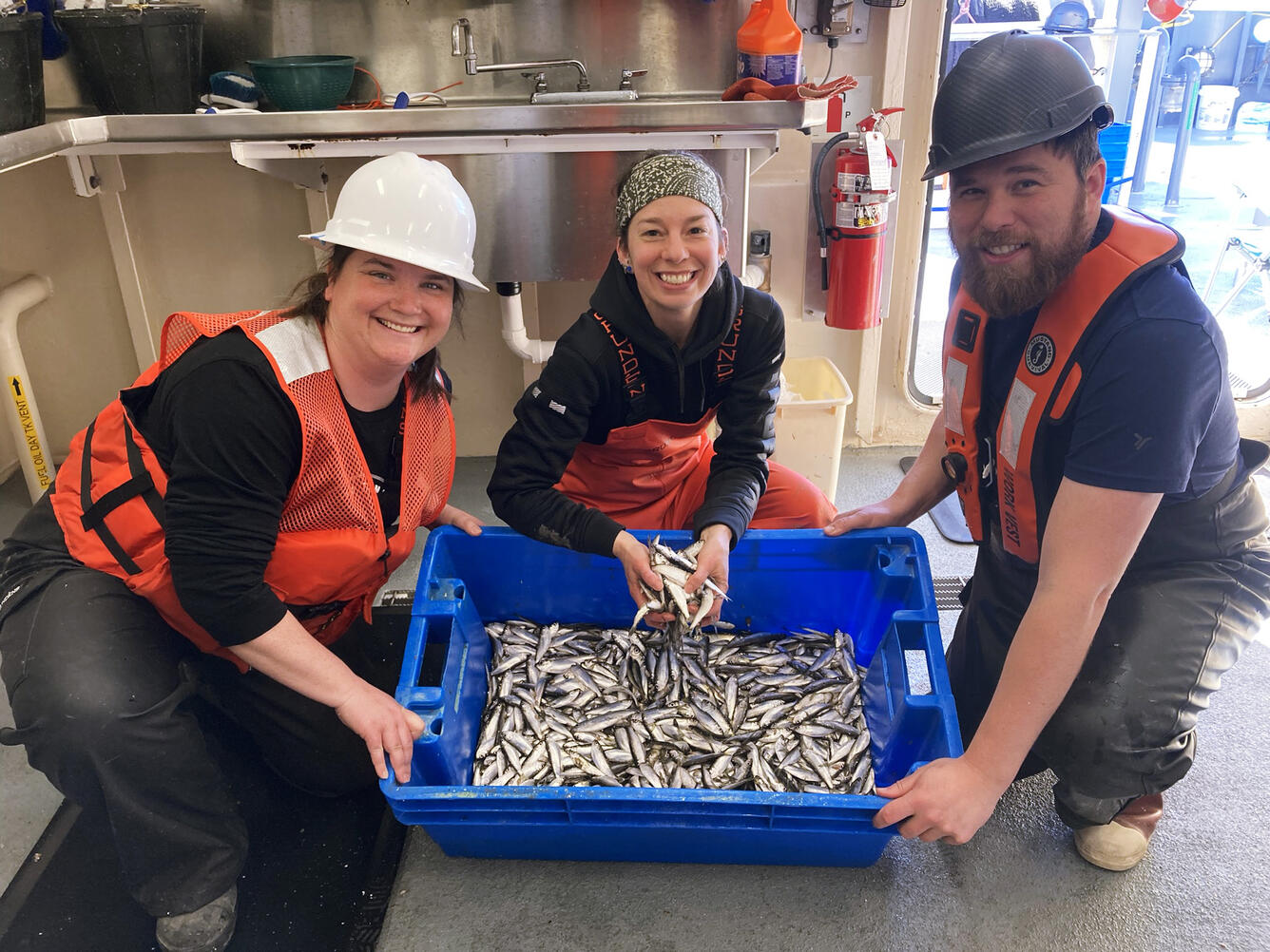 `Three researchers sort fish out of a blue tubon the deck of a large research vessel.