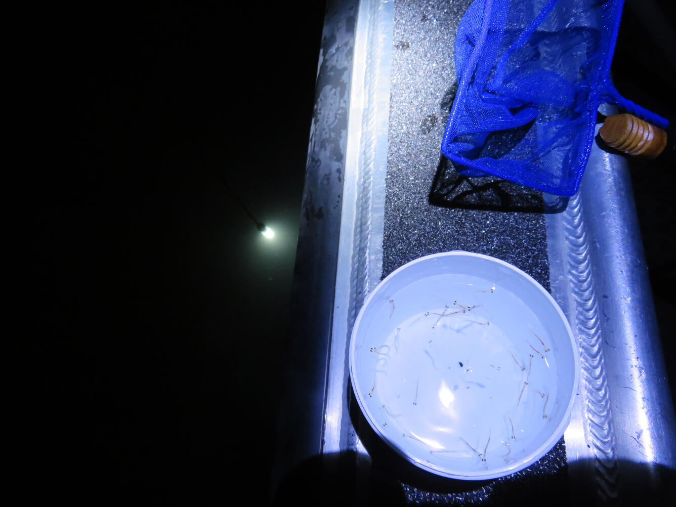 A dim light is visible deep under water with a blue dip-net and a bowl on the gunwale of a small vessel