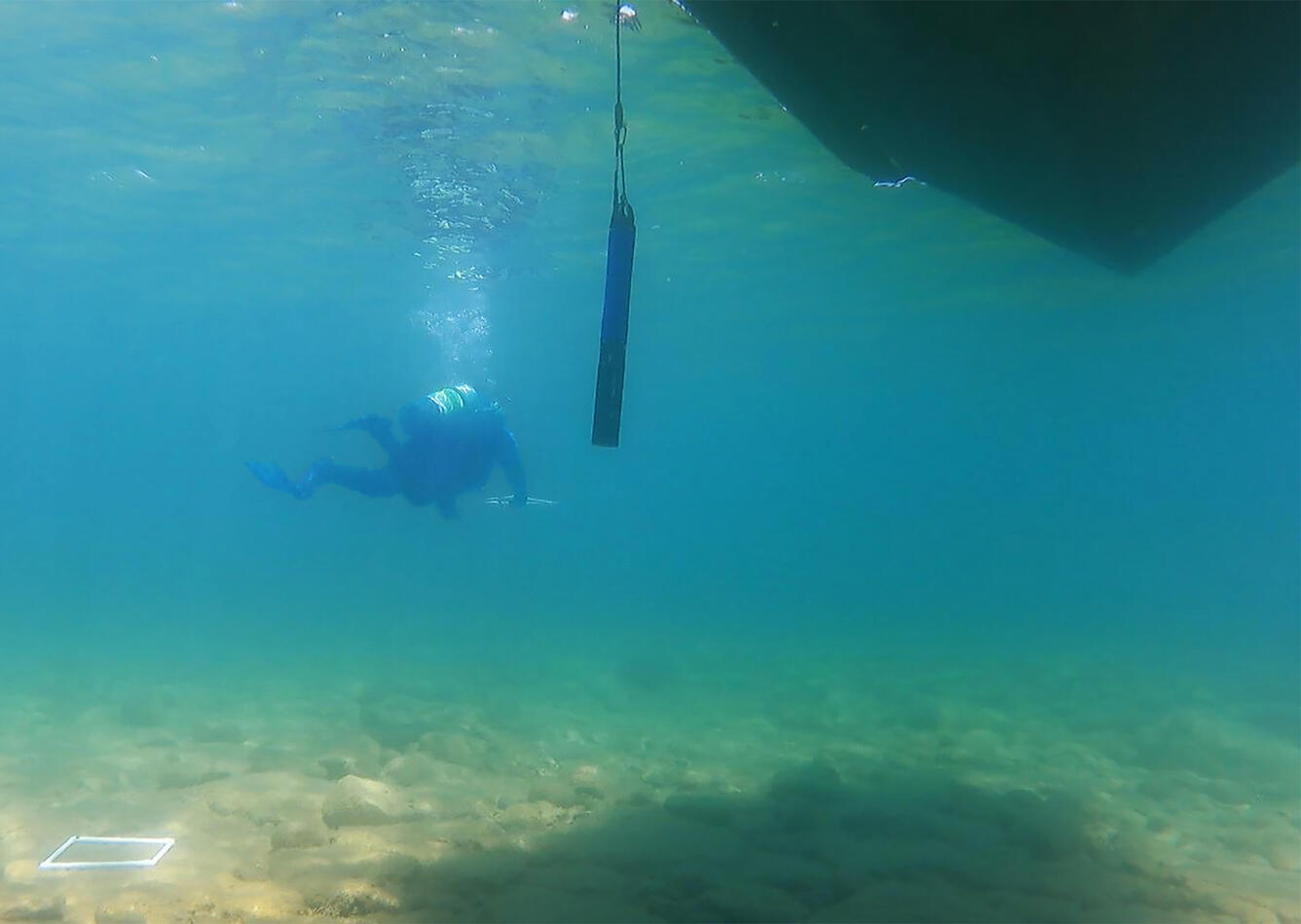 A diver approaching a scientific instrument hanging in the water beneath research vessel