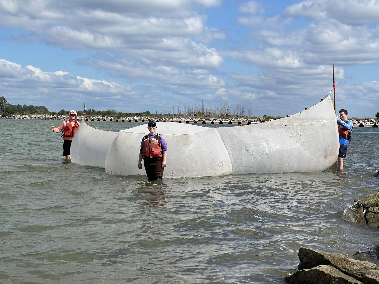 Three researchers standing in shallow water holding a seine net open