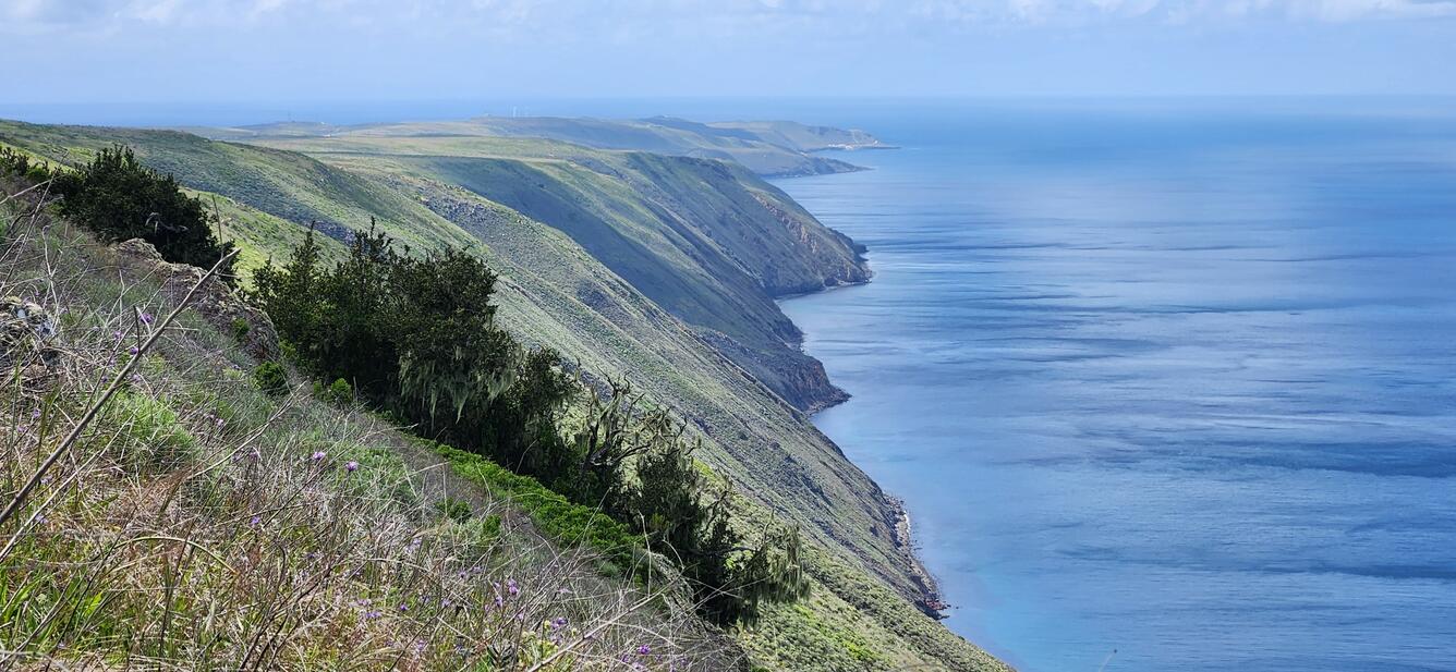 San Clemente Island, CA Channel Islands National Park