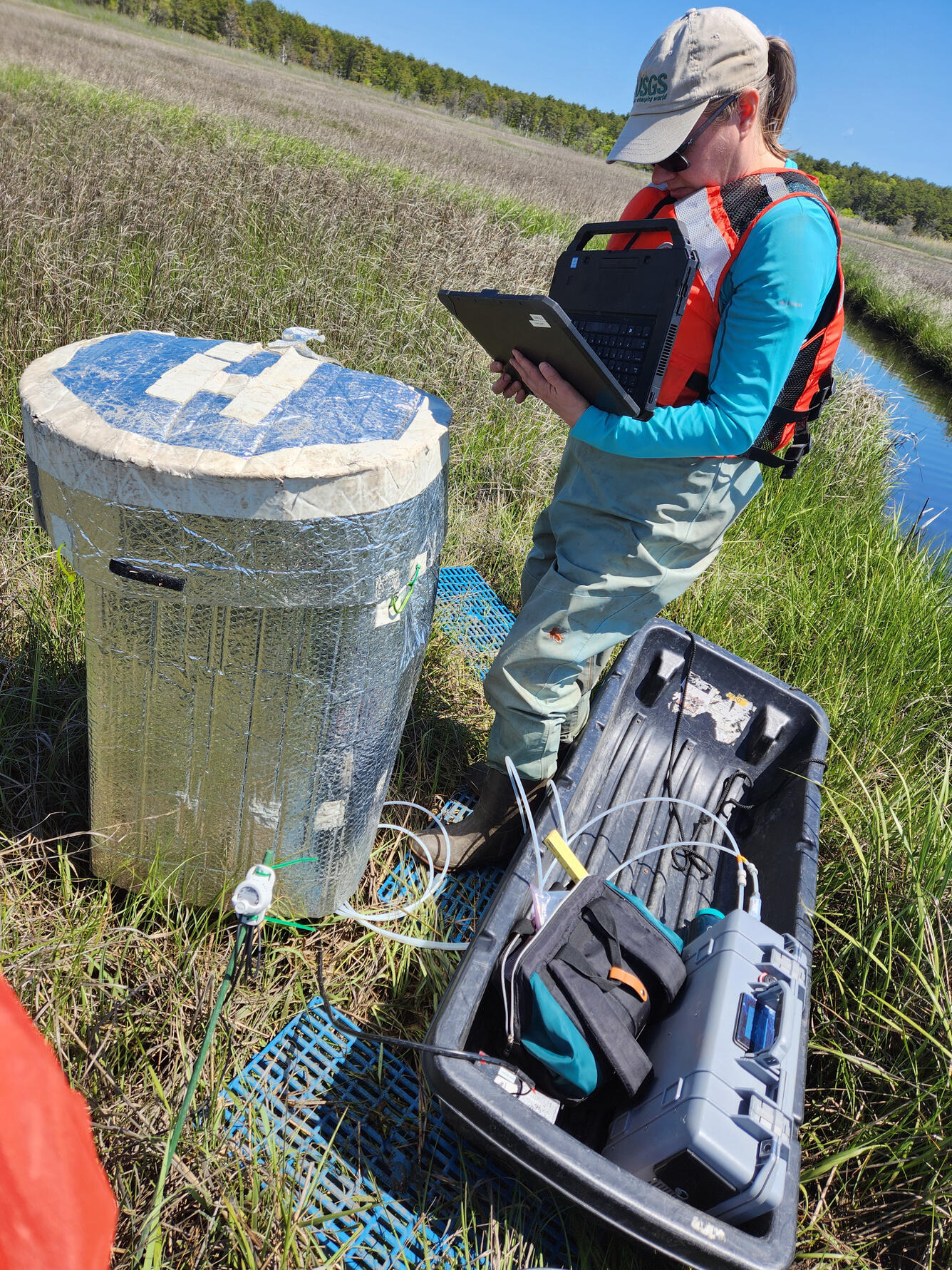 Scientist doing fieldwork in a coastal wetland