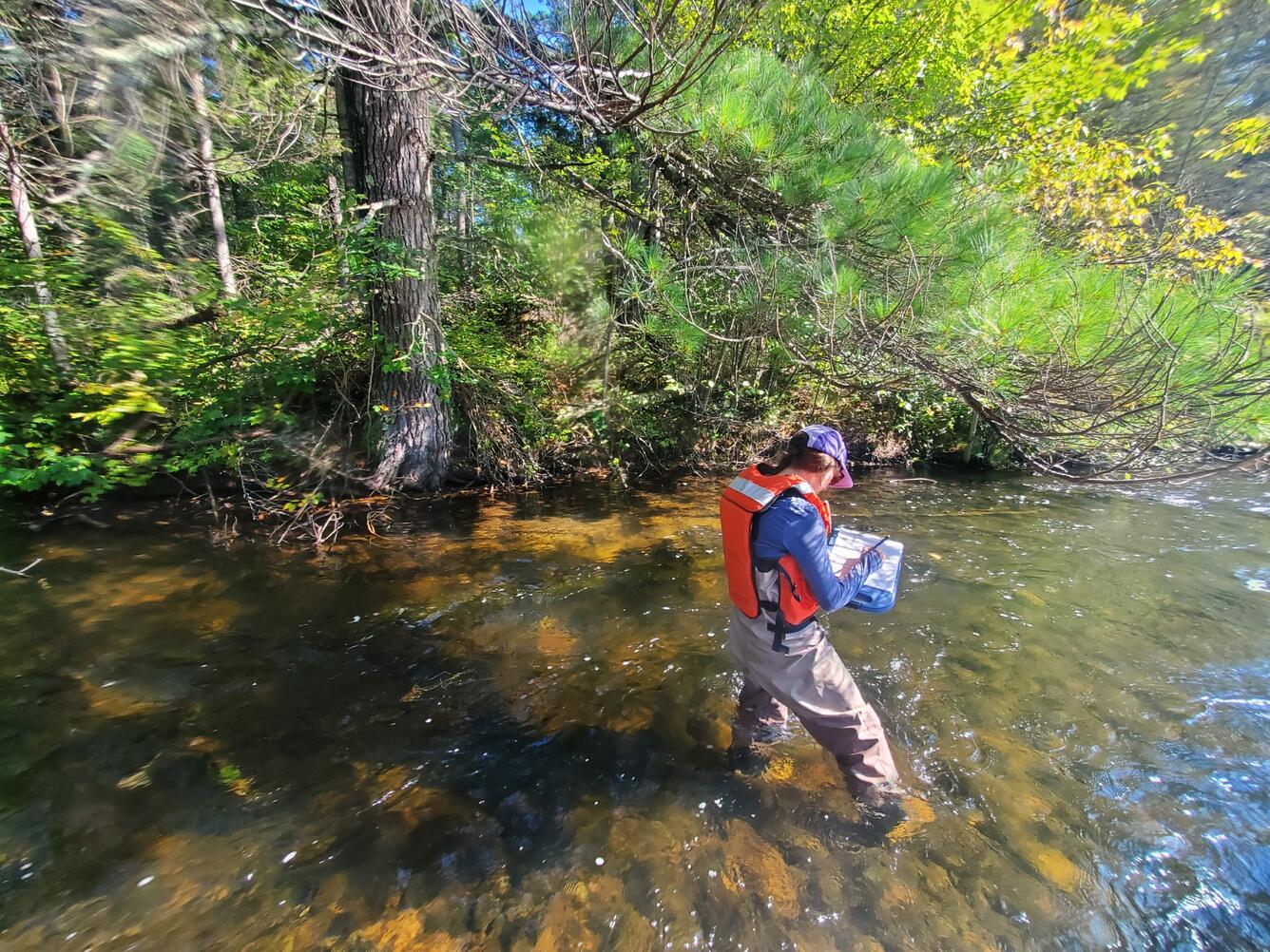 A woman wades a river and writes notes on a pad. 