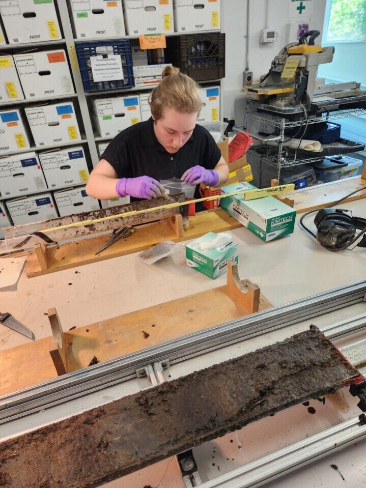 Person in a lab working with a sediment core