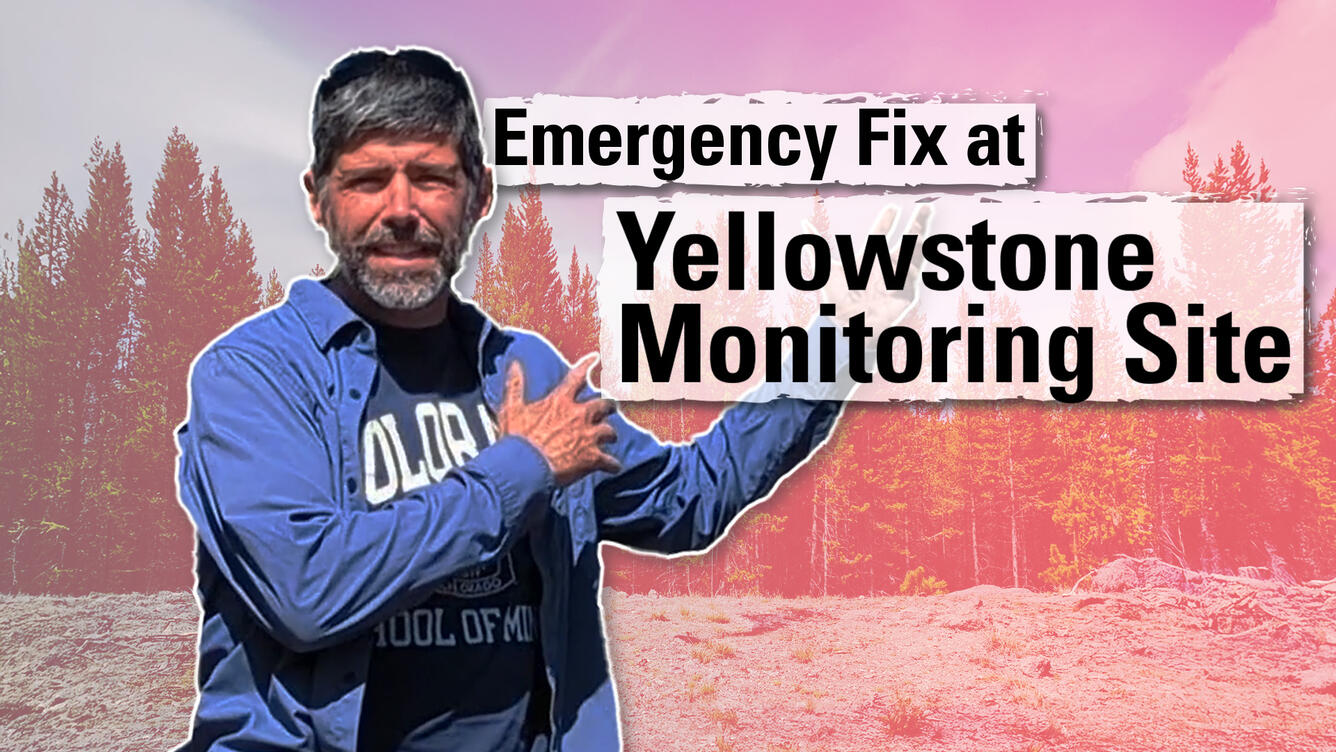 Thumbnail image of a man gesturing towards trees in the background