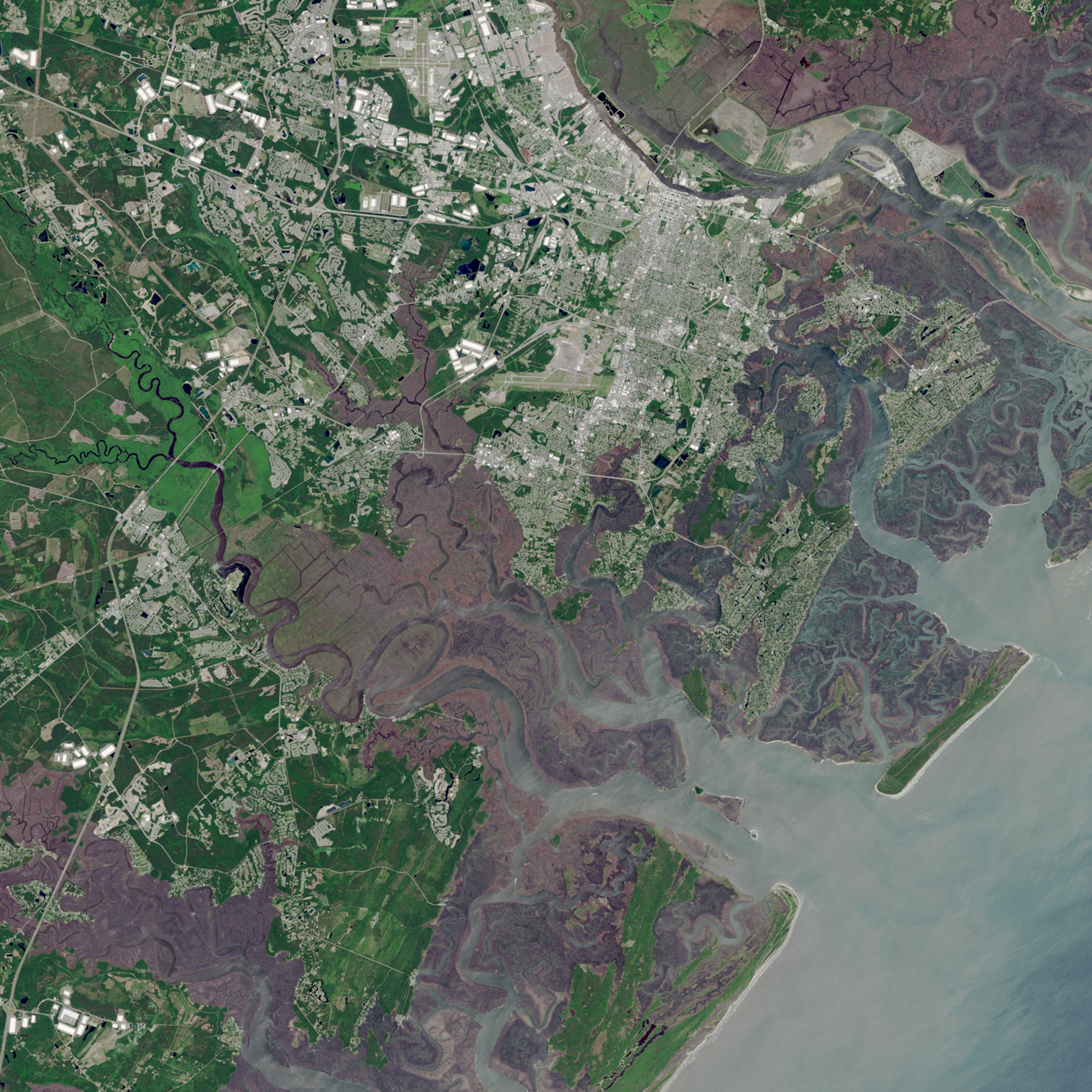 Landsat image of Savannah, Georgia in 2026