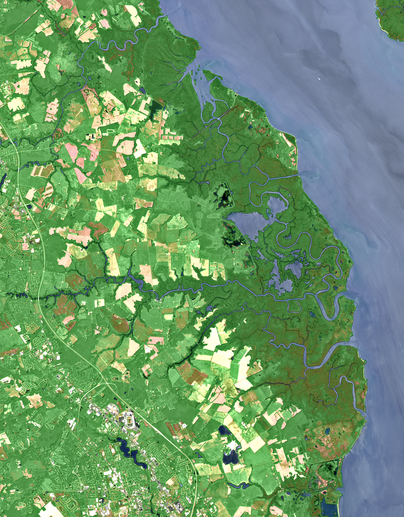 Landsat satellite image of the Bombay Hook National Wildlife Refuge in Delaware