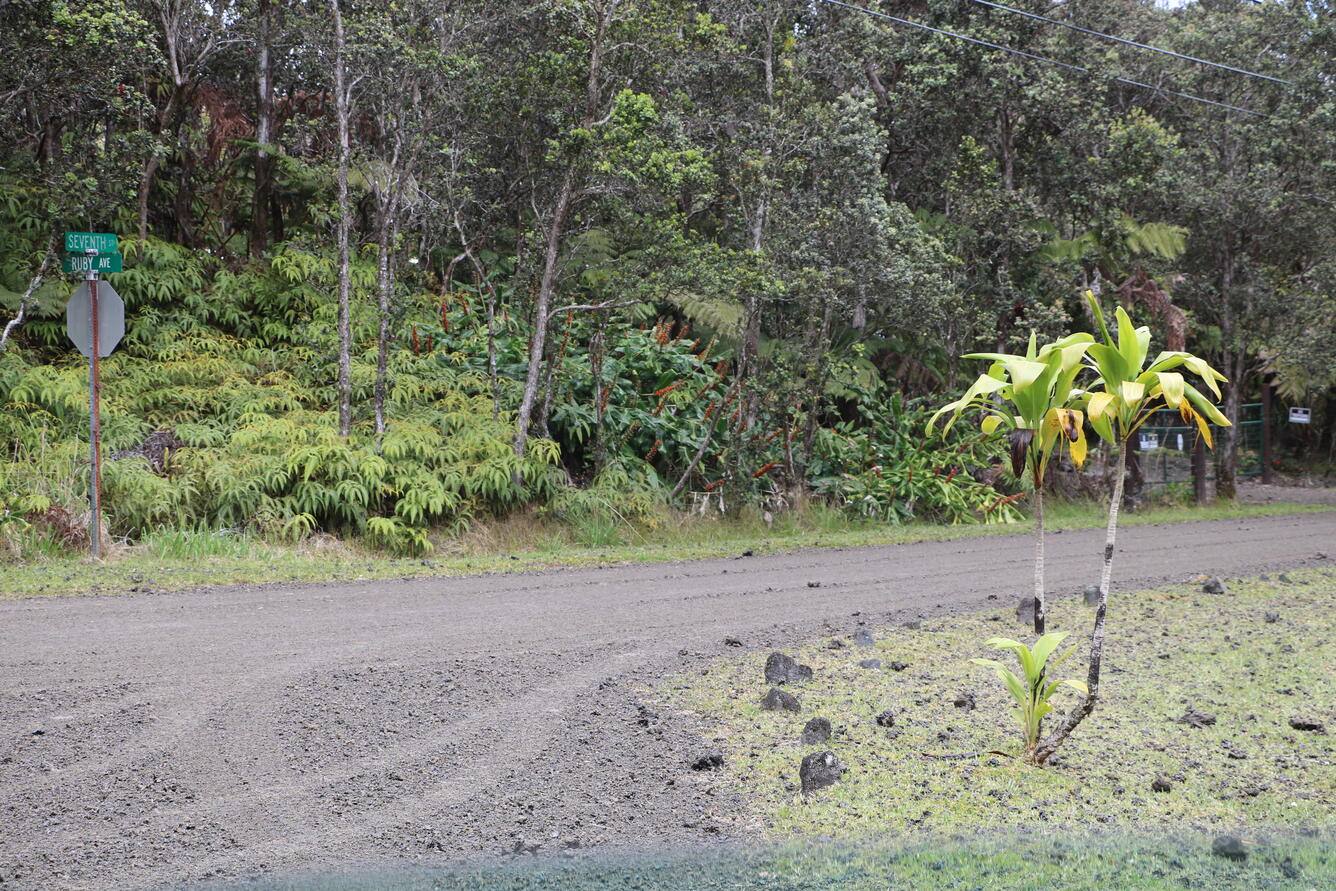 Color photograph of road intersection