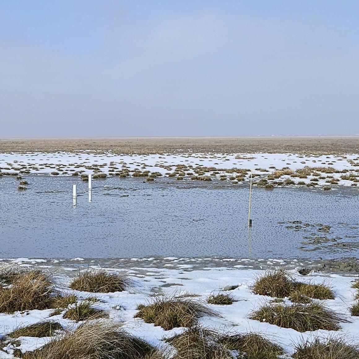 a shallow lake with white pipes sticking out on the right and a yellow rod on the left
