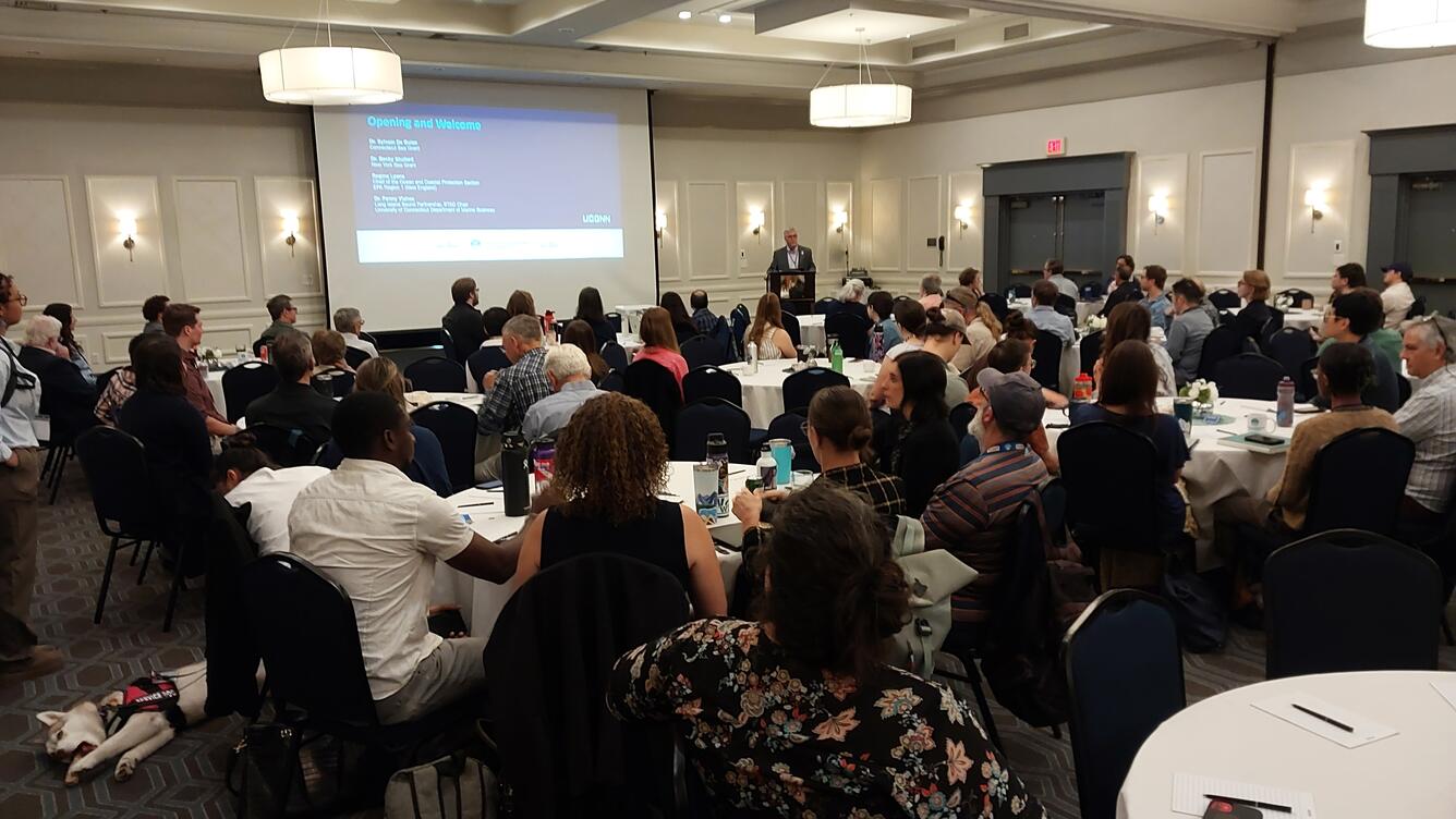 Conference room full of people sitting at tables watching presentation
