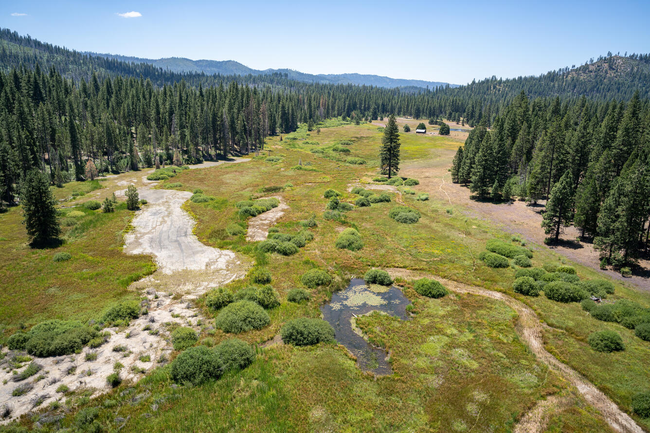 Above ground view taken from drone camera of Ackerson Meadow, Yosemite National Park