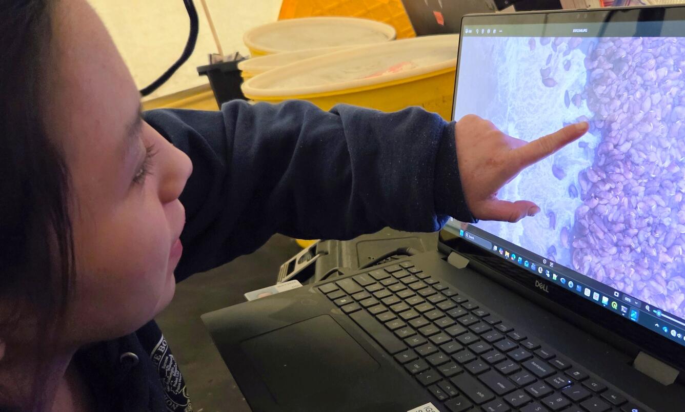 A girl pointing at a computer screen.