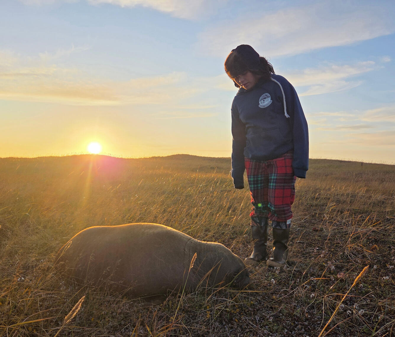 A girl looks at a walrus calf lying in grass.