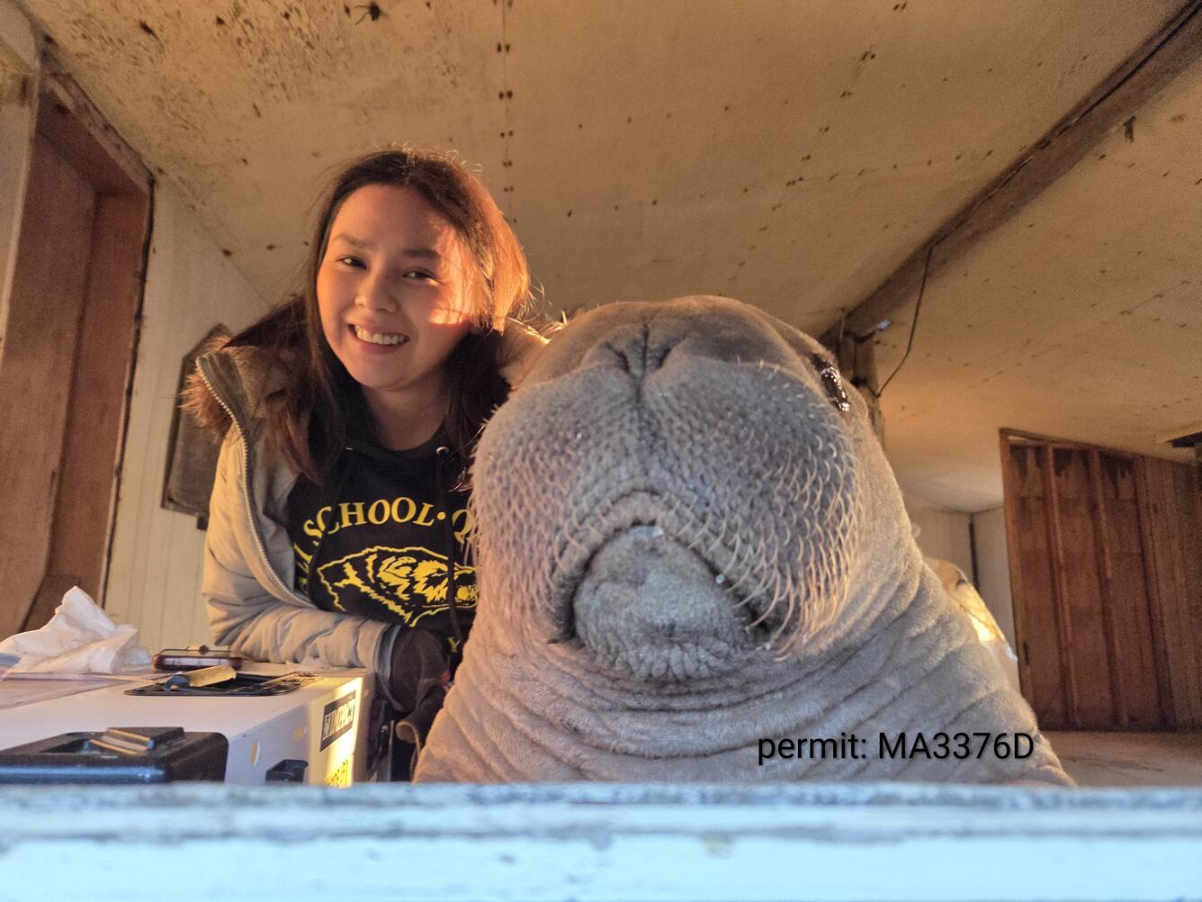 Girl smiles with a walrus calf