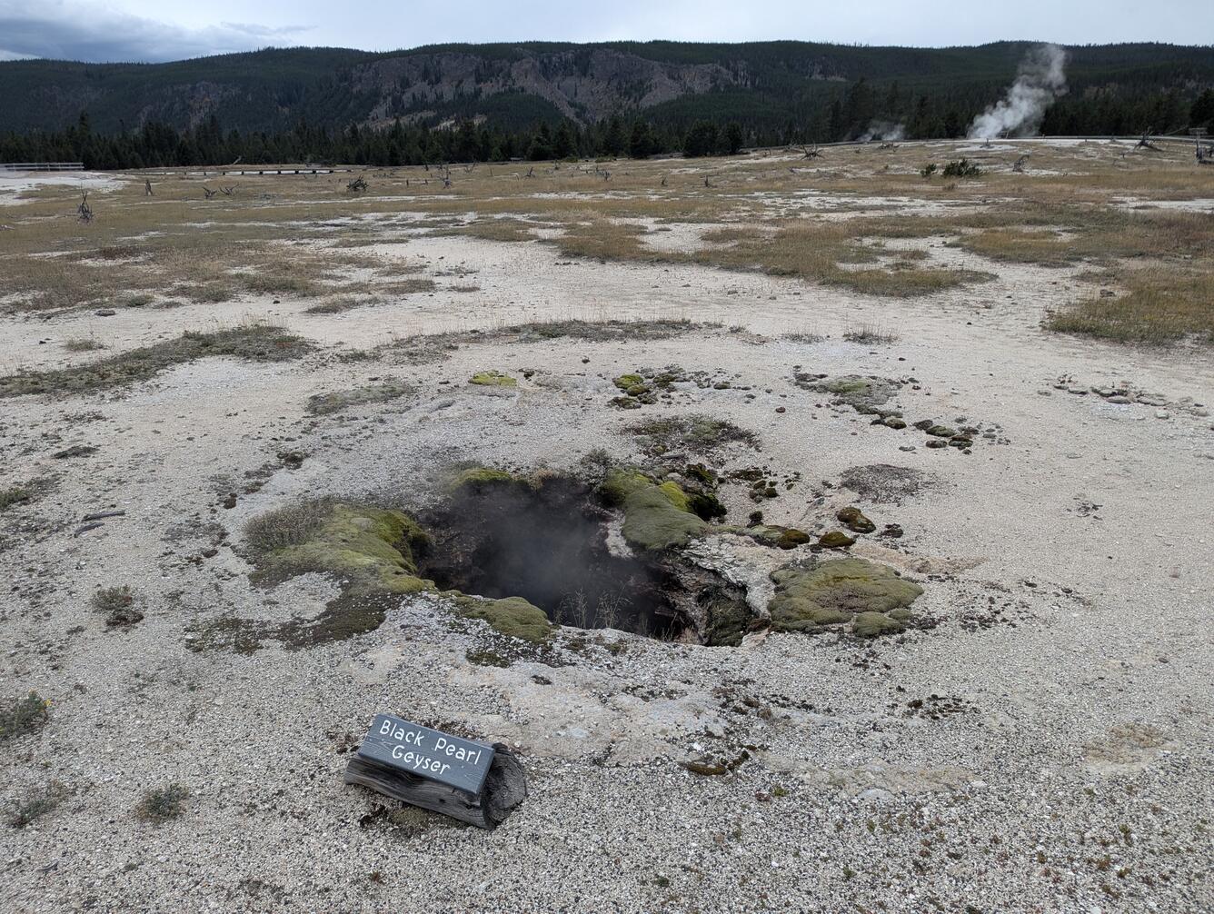 Dark hole in the ground in a barren landscape with some moss, and a tree-covered ridge in the background under cloudy skies