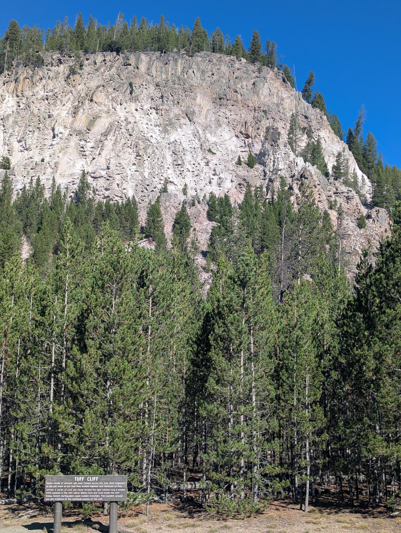 A pale pink rocky cliff with trees above and below under blue sky