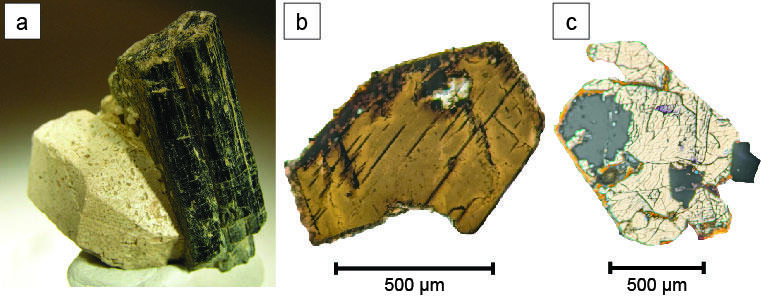 Hand sample of a dark, cylindrical mineral along with microscope sections of that mineral showing a hexagonal cross section