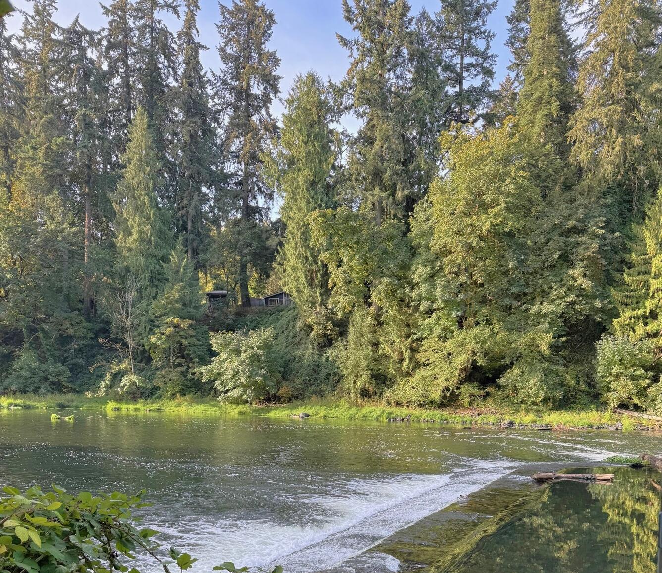 Green river water cascades over a shallow dam running through the river middle