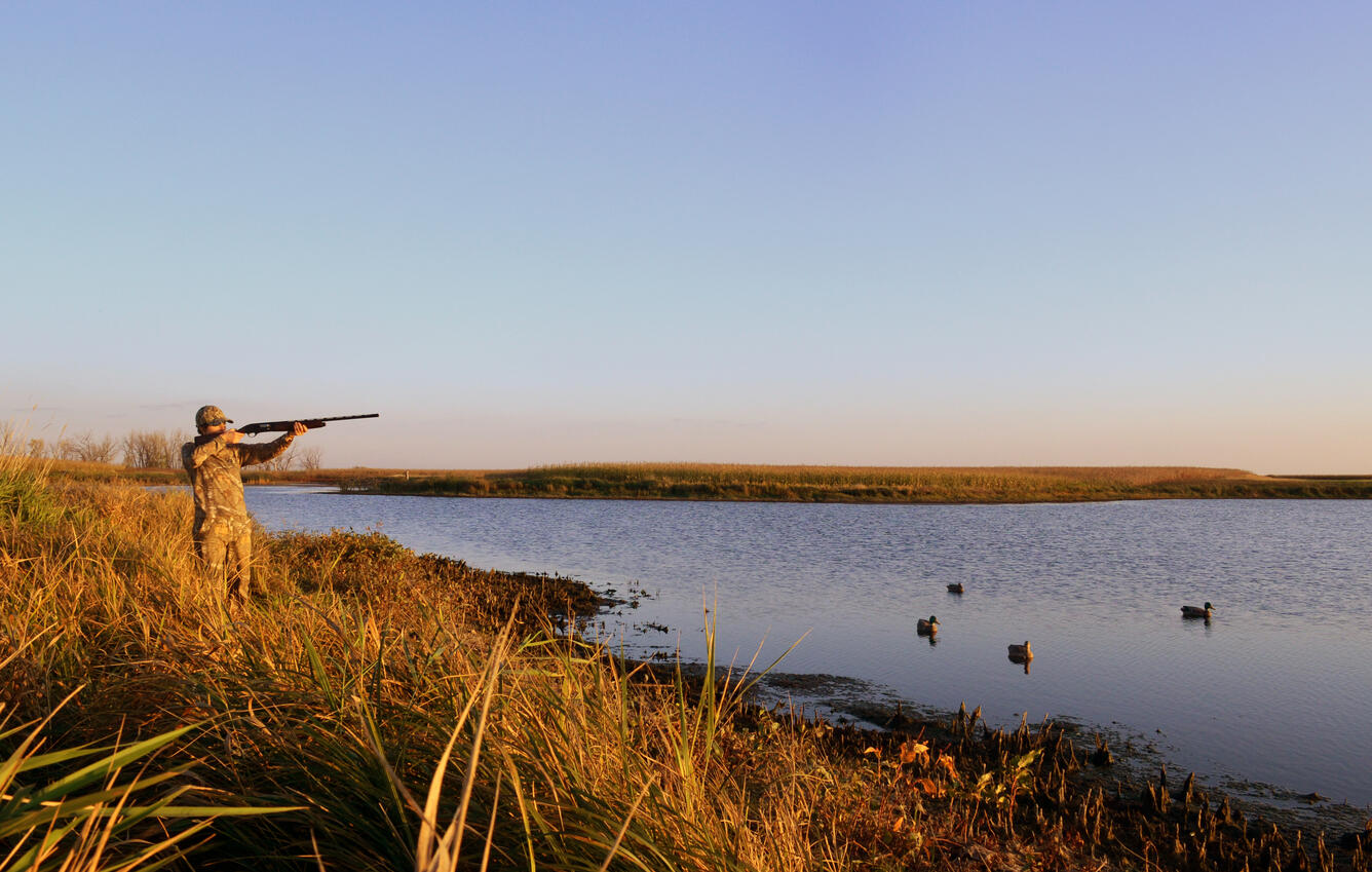 A person in camouflage stands on the shore of a lake waterfowl hunting