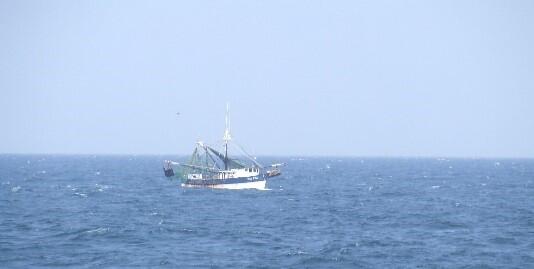 Shrimp boat in the coastal waters of Louisiana