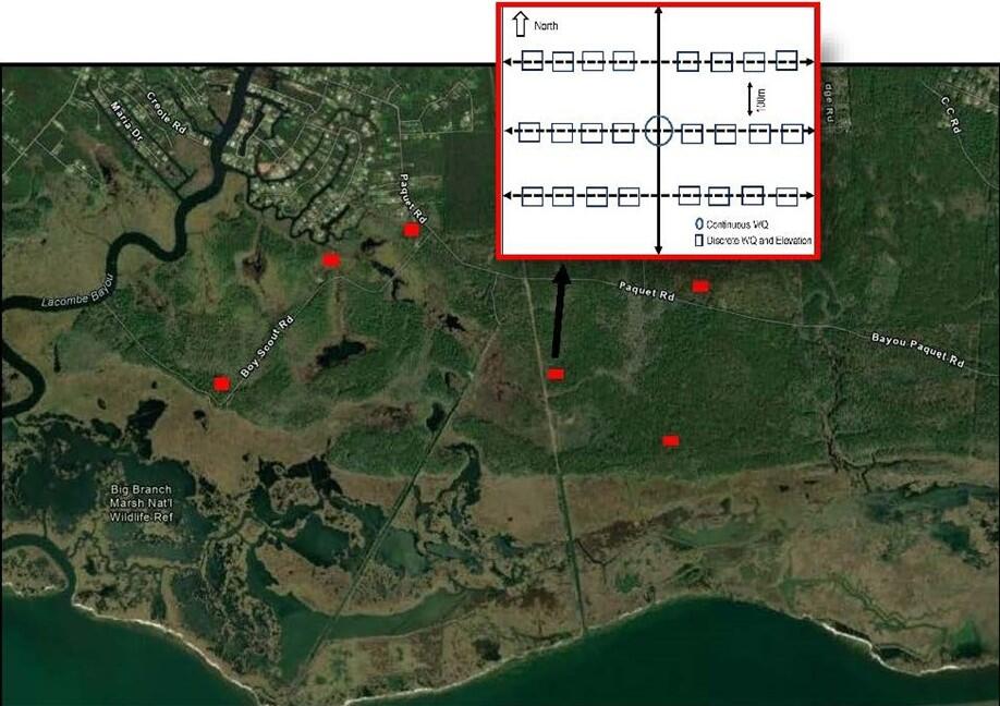 Site-level schematic of study site and design at Big Branch National Wildlife Refuge