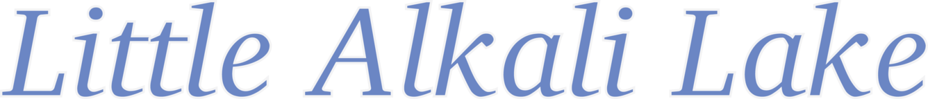 OnDemand - 250K - HYDRO - Waterbody - Intermittent - Label