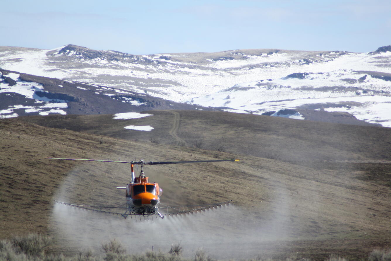 Photo of helicopter spraying grass/shrubland, snowy mountains in the background
