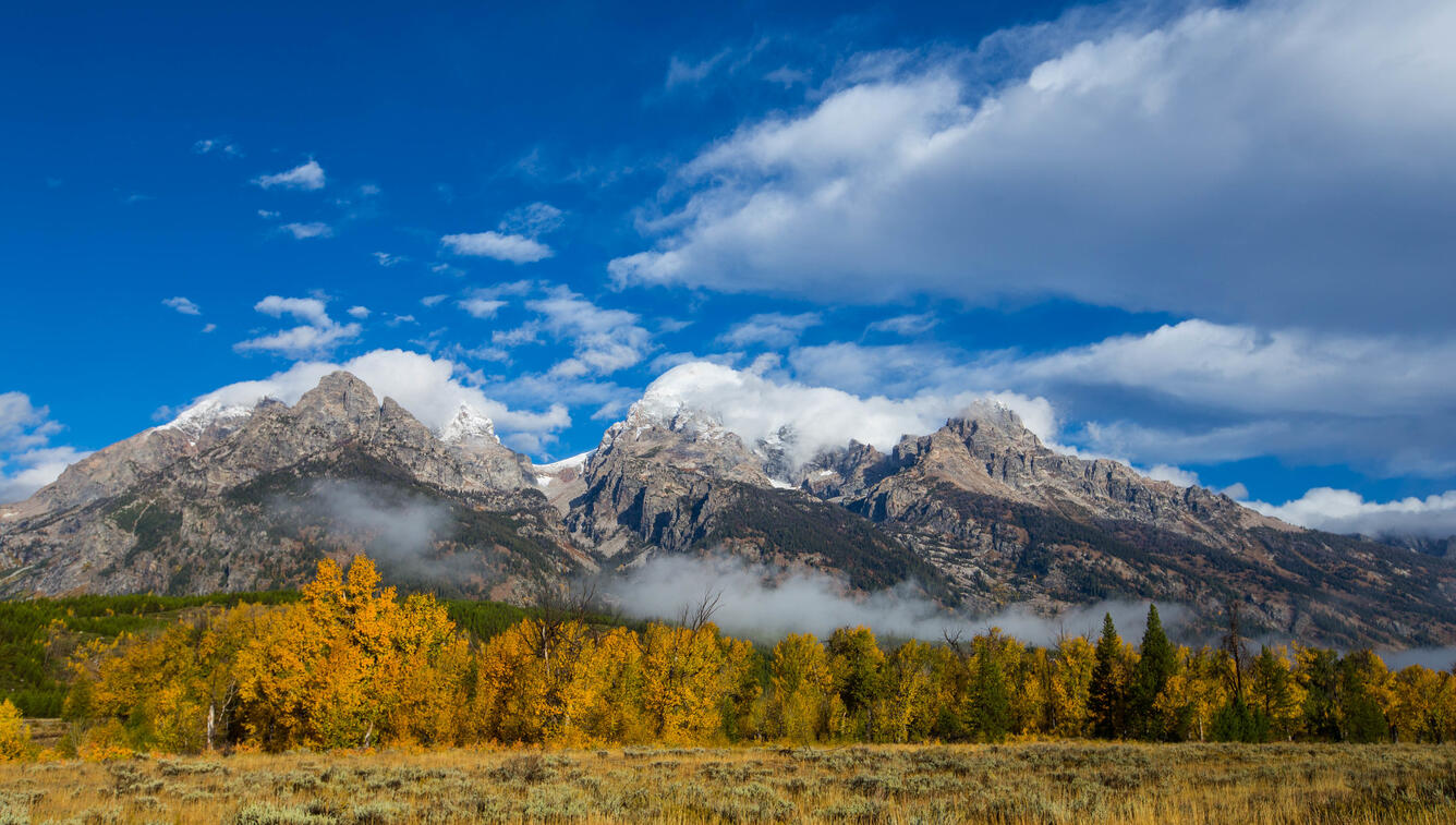 A photo of the Teton range with autumnal trees in the foreground