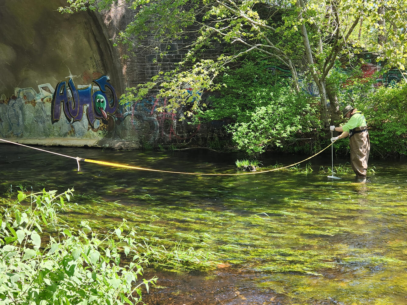 Field assistant takes a discrete water-quality measurement.