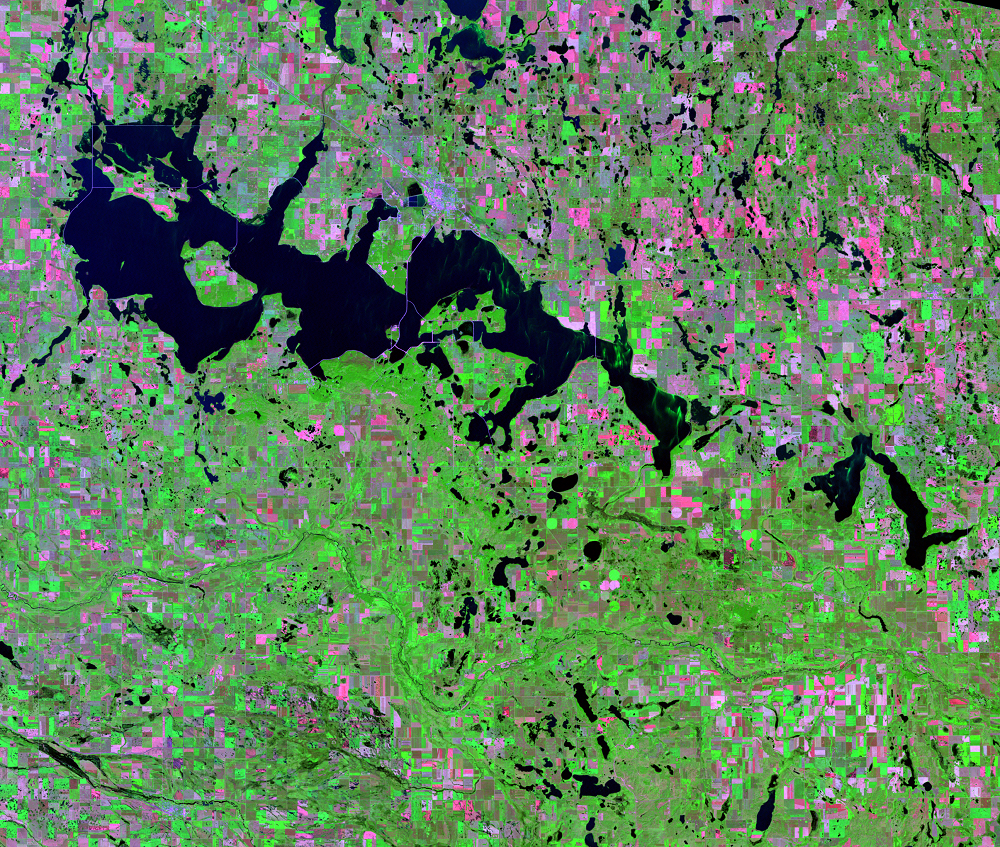 Satellite image showing water bodies in deep blue, green vegetation and pink barren areas