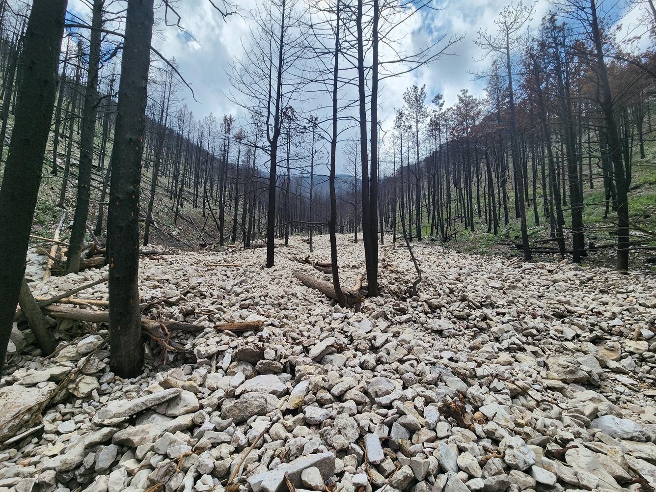 channel filled with cobbles and small burned with burned trees in channel