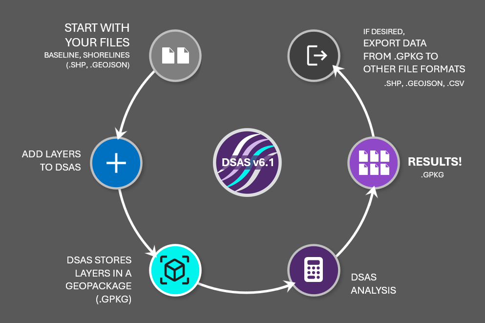 DSAS diagram with arrows pointing to different steps in the process
