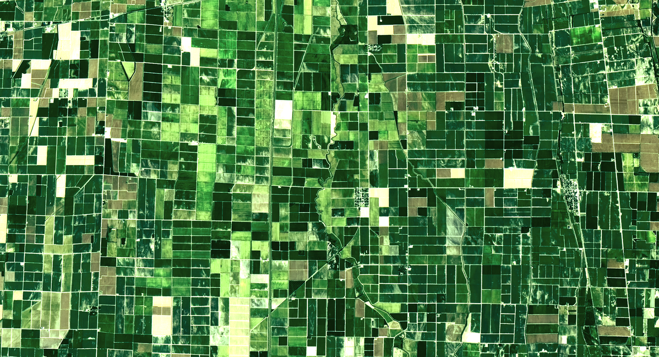 Landsat 9 image of cropland in southeastern Missouri