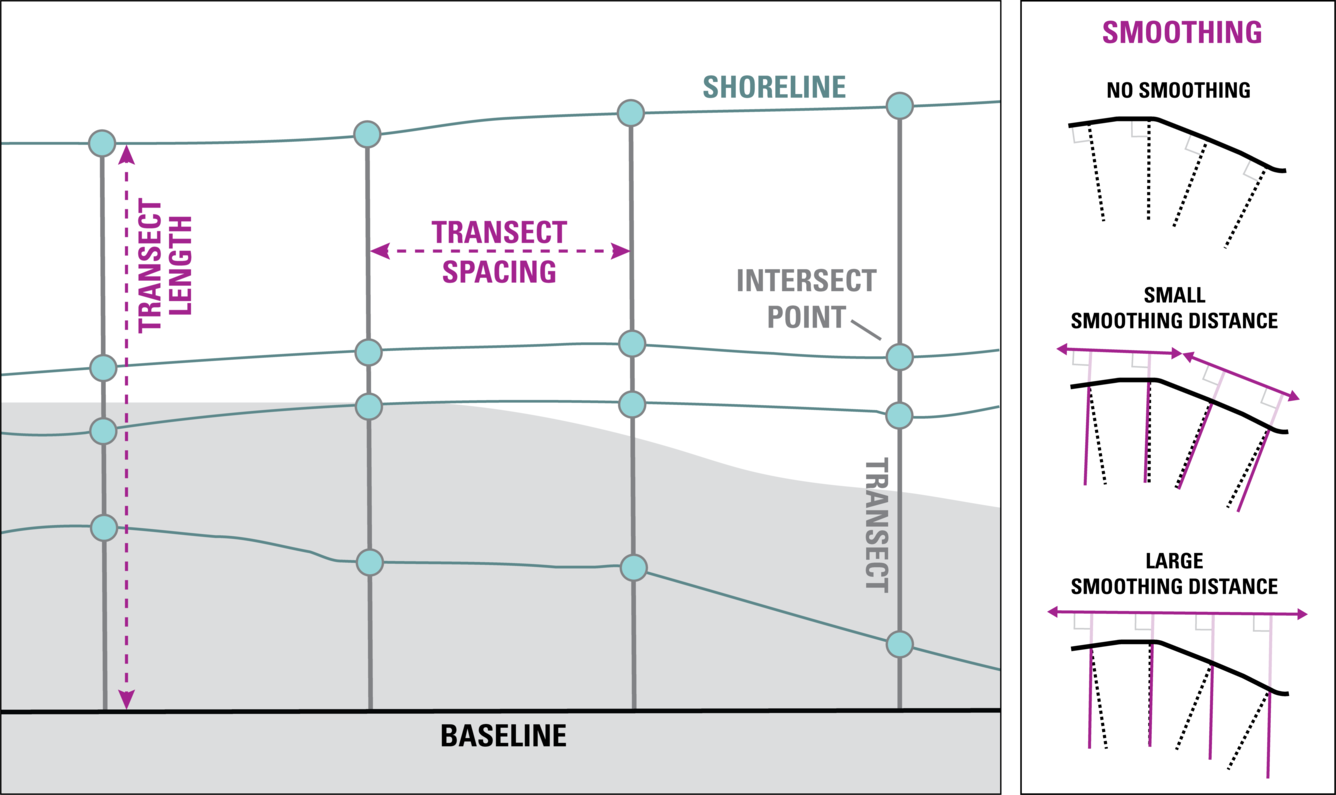 diagram showing transect lines on a shoreline