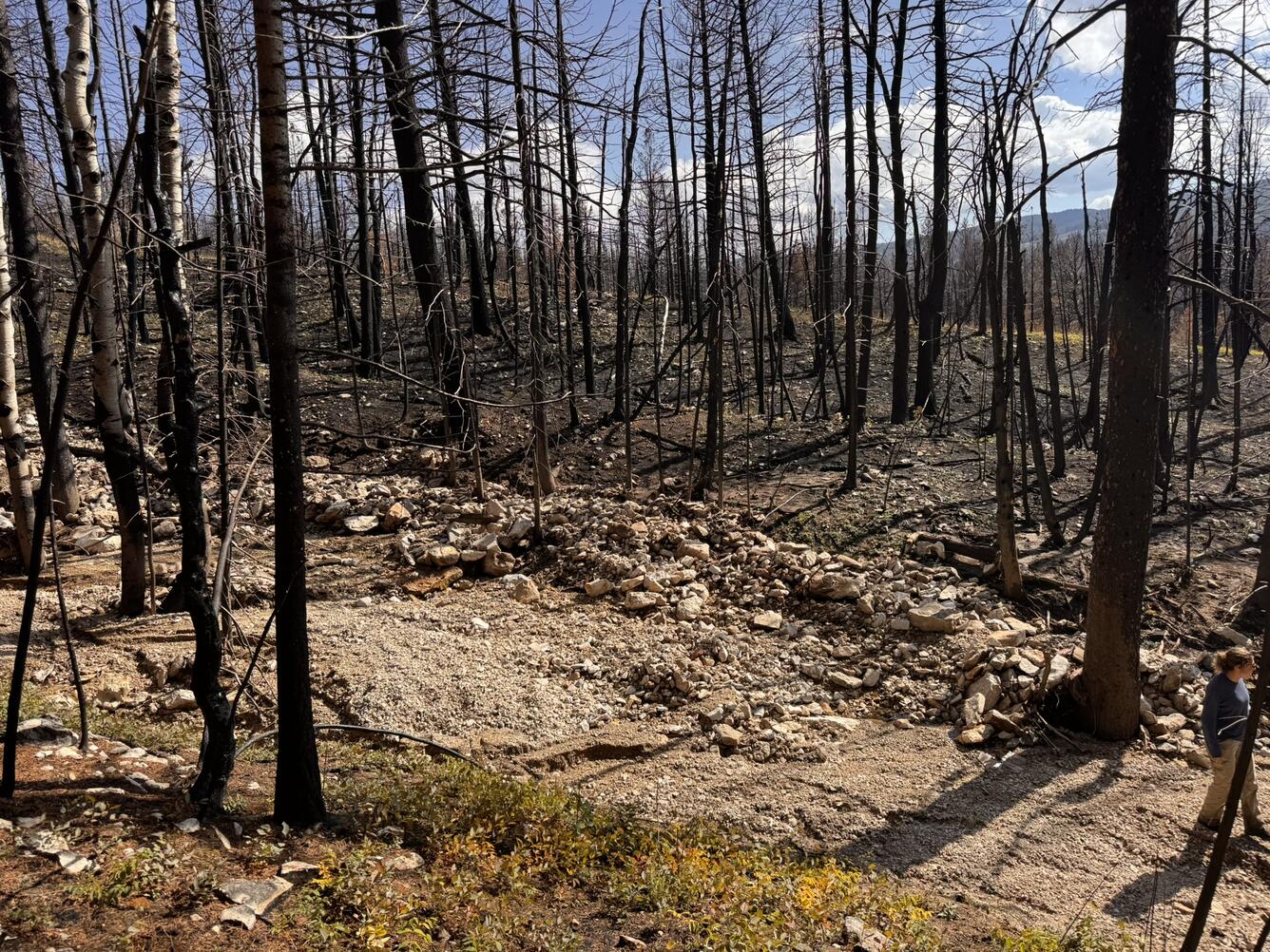 linear deposit of rocks near the edge of a channel that is surrounded by burned trees