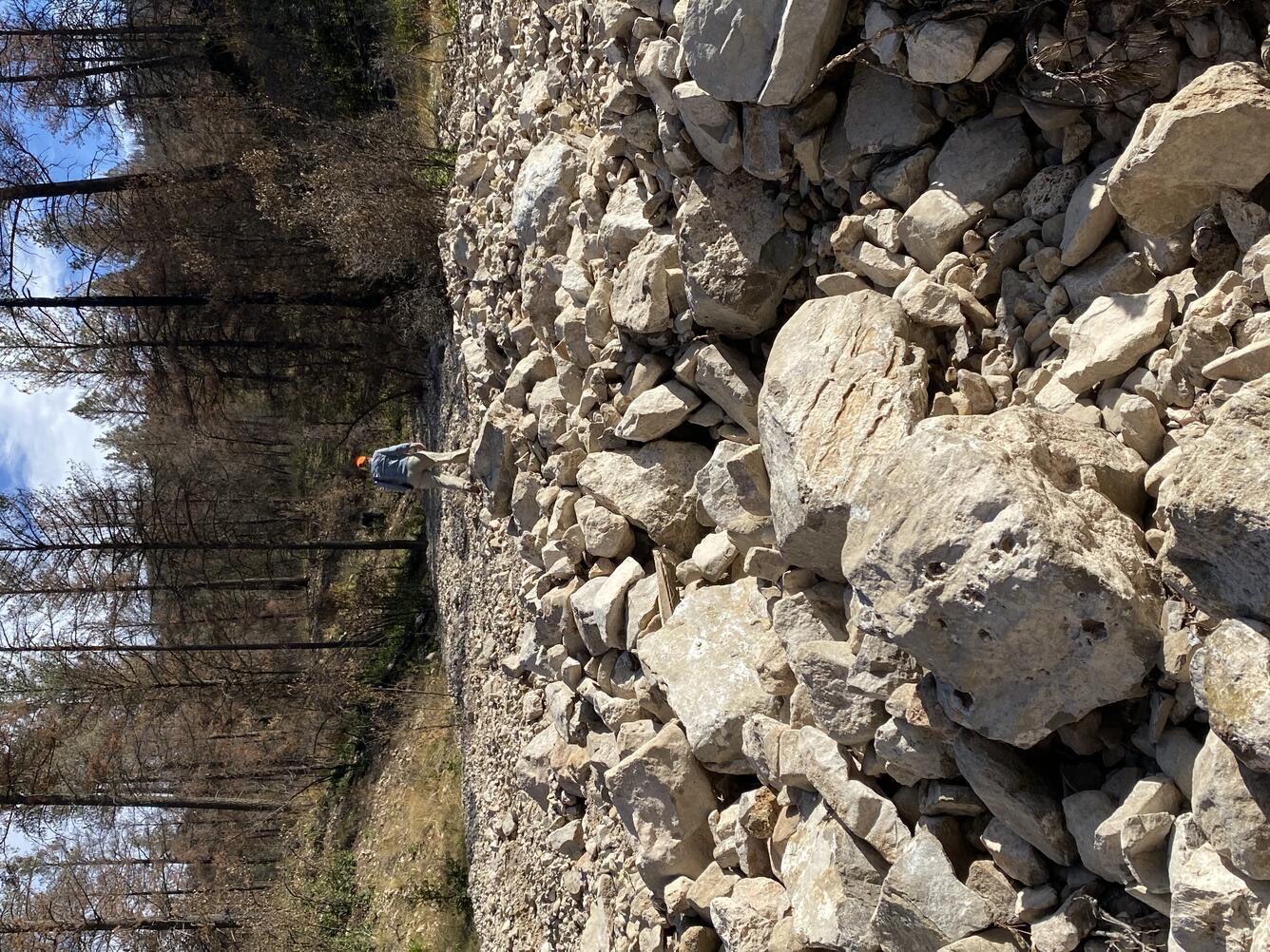 person walks up a boulder field with trees visible in the background