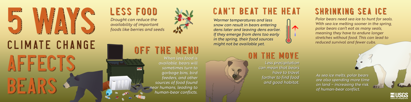 The words "5 ways climate change affects bears" with an image of a bear.