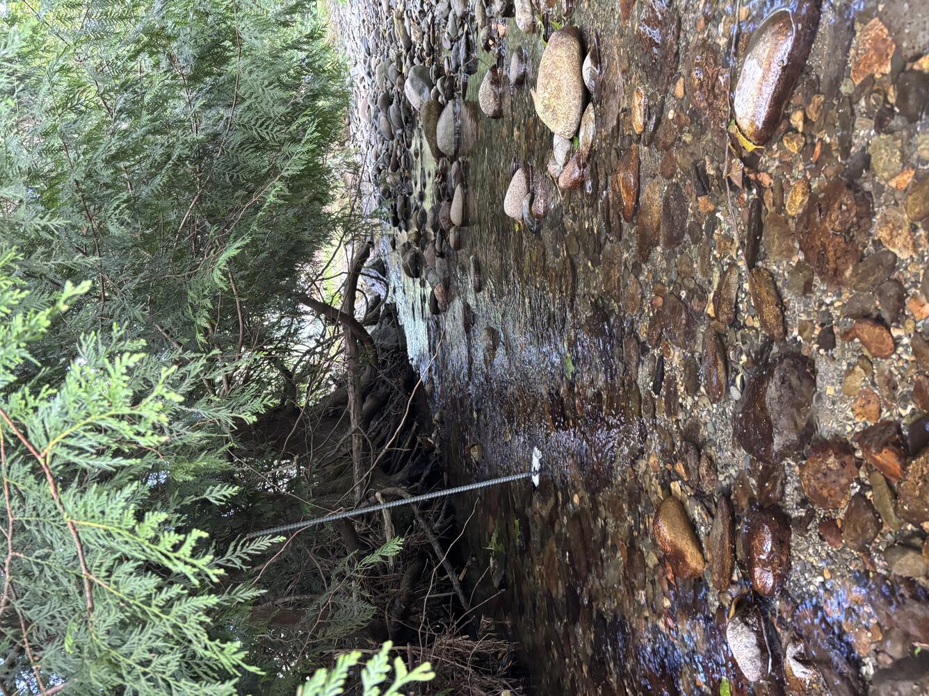 Mundt Creek