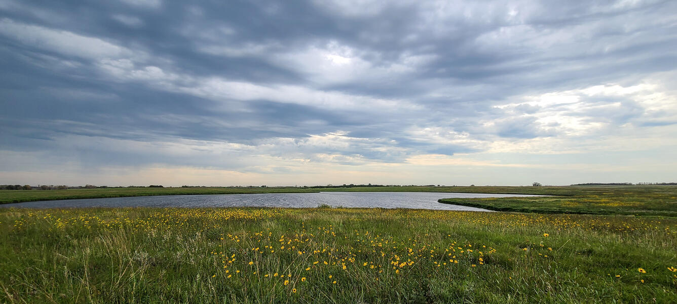 A water body surrounded by gently sloping prairie landscape