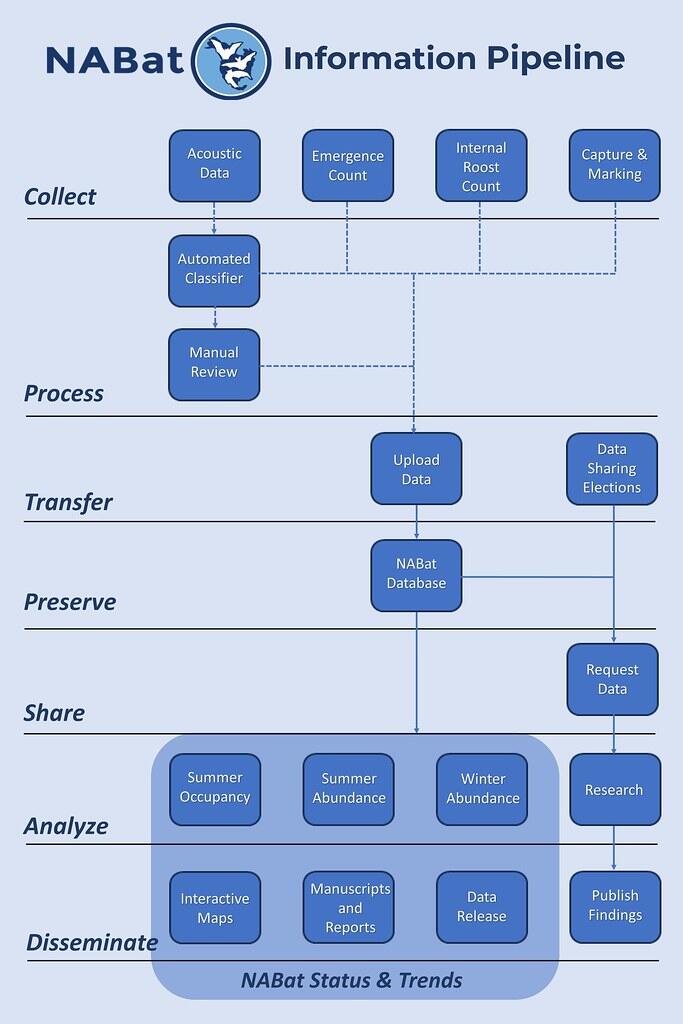 boxes containing text, outline steps in an information pipeline, with arrows between boxes