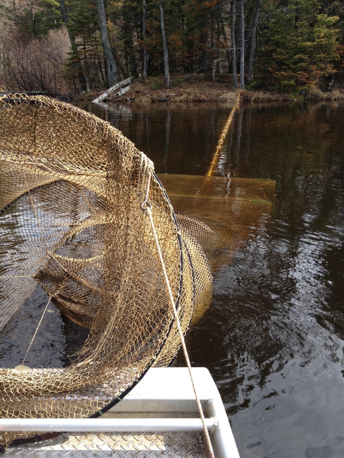 Close up of fishing net in lake