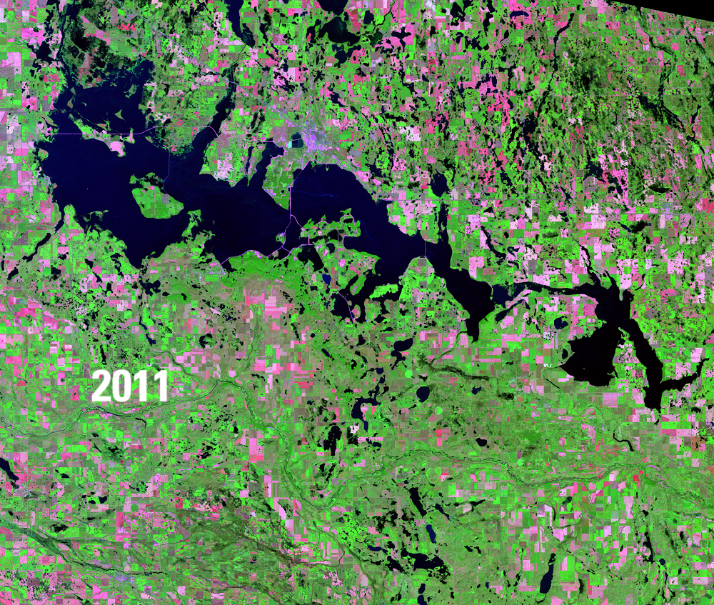 Satellite image showing water bodies in deep blue, green vegetation and pink barren areas