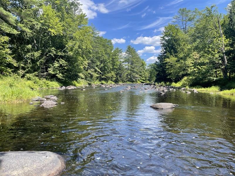 A picture of a river with green banks and trees on both sides and blue sky.