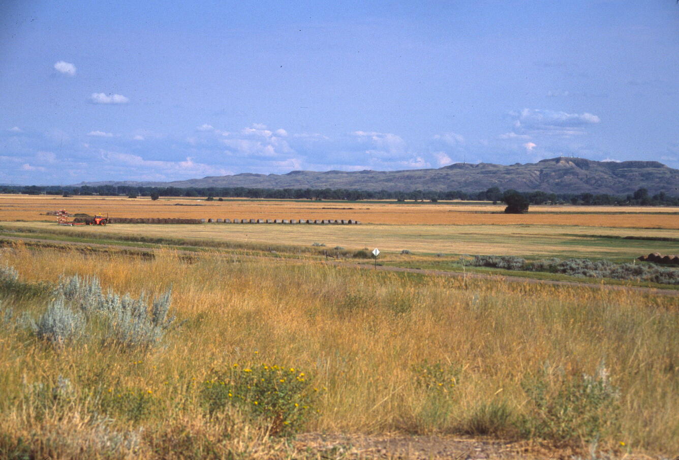 A mix of flat grass and hay land with some buttes in the background