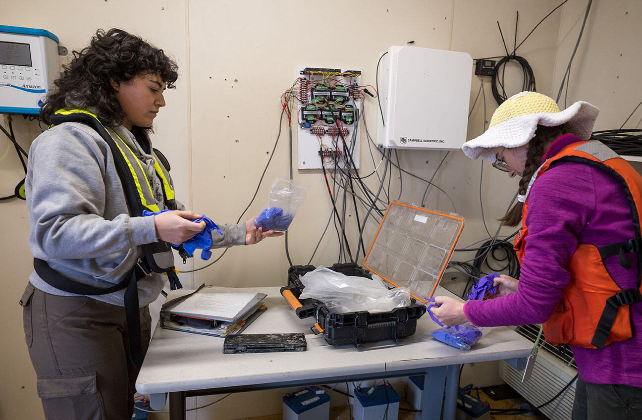 Zoë Siman-Tov (left) and Amelia Ayers gather shellfish samples collected at Martinez Harbor in Contra Costa County, CA.