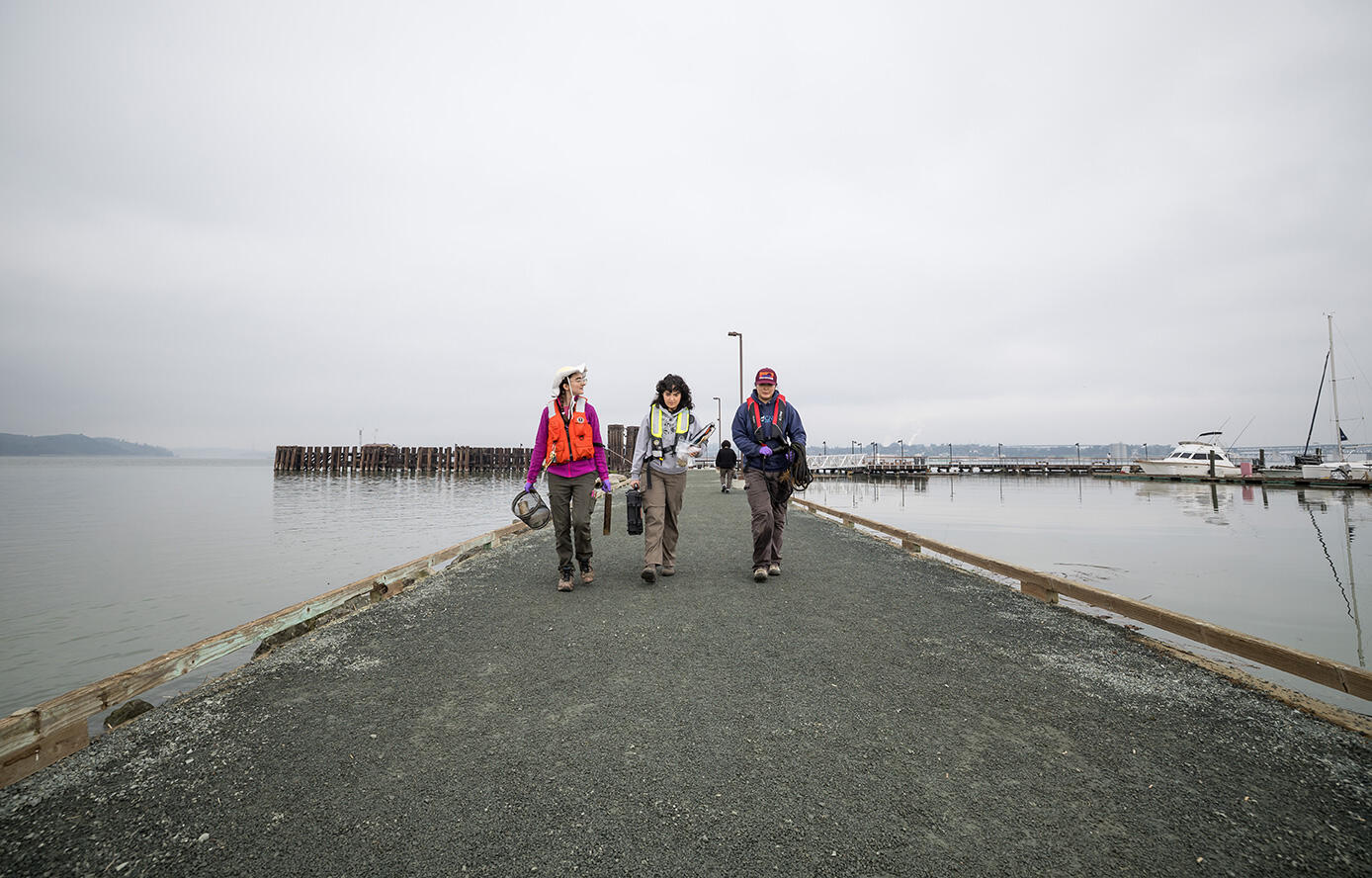 Research team arrive at Martinez Harbor