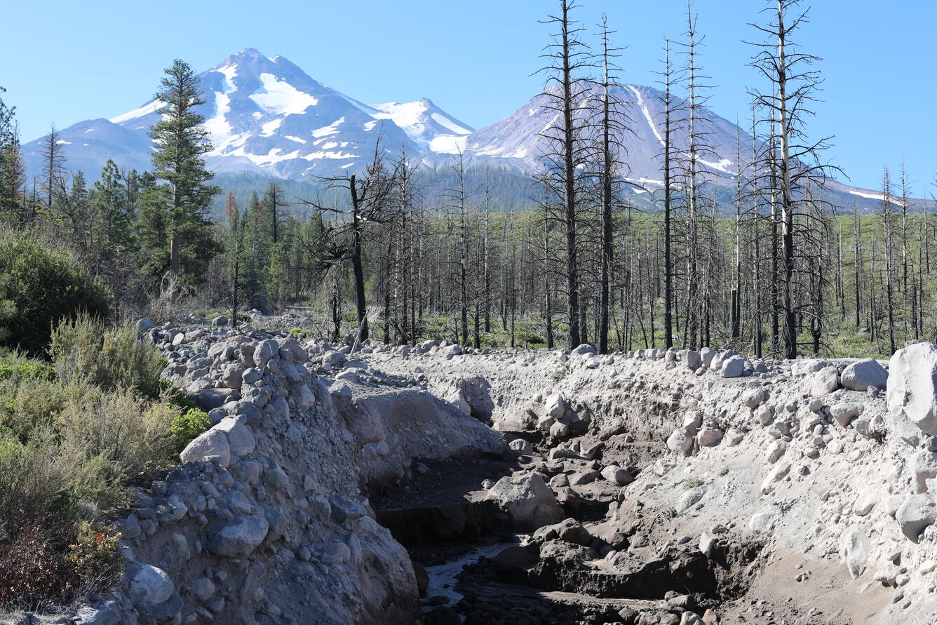 A rocky, steep-sized mountain creek is bordered by dead pine trees and sagebrush. In the distance, a two-peaked volcano scattered with snow rises high above the forested landscape.