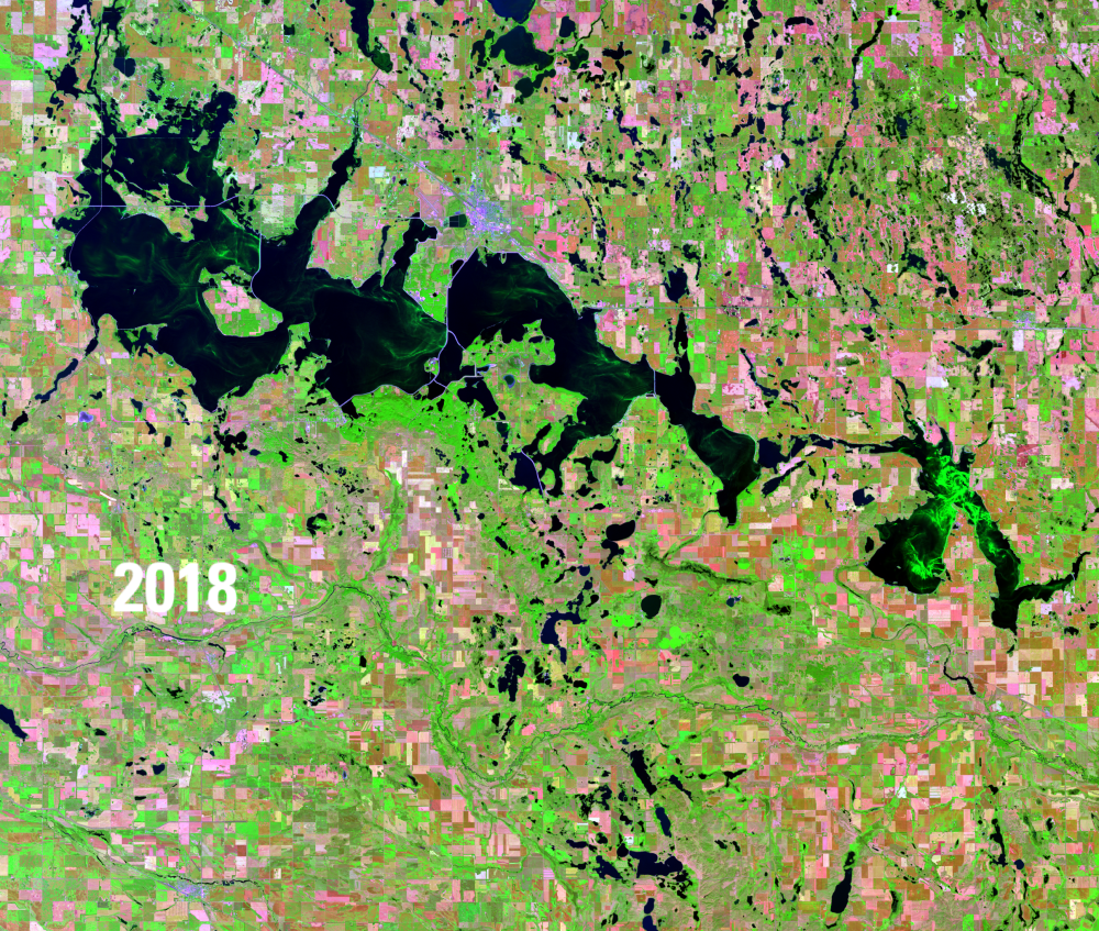 Satellite image showing water bodies in deep blue, green vegetation and pink barren areas