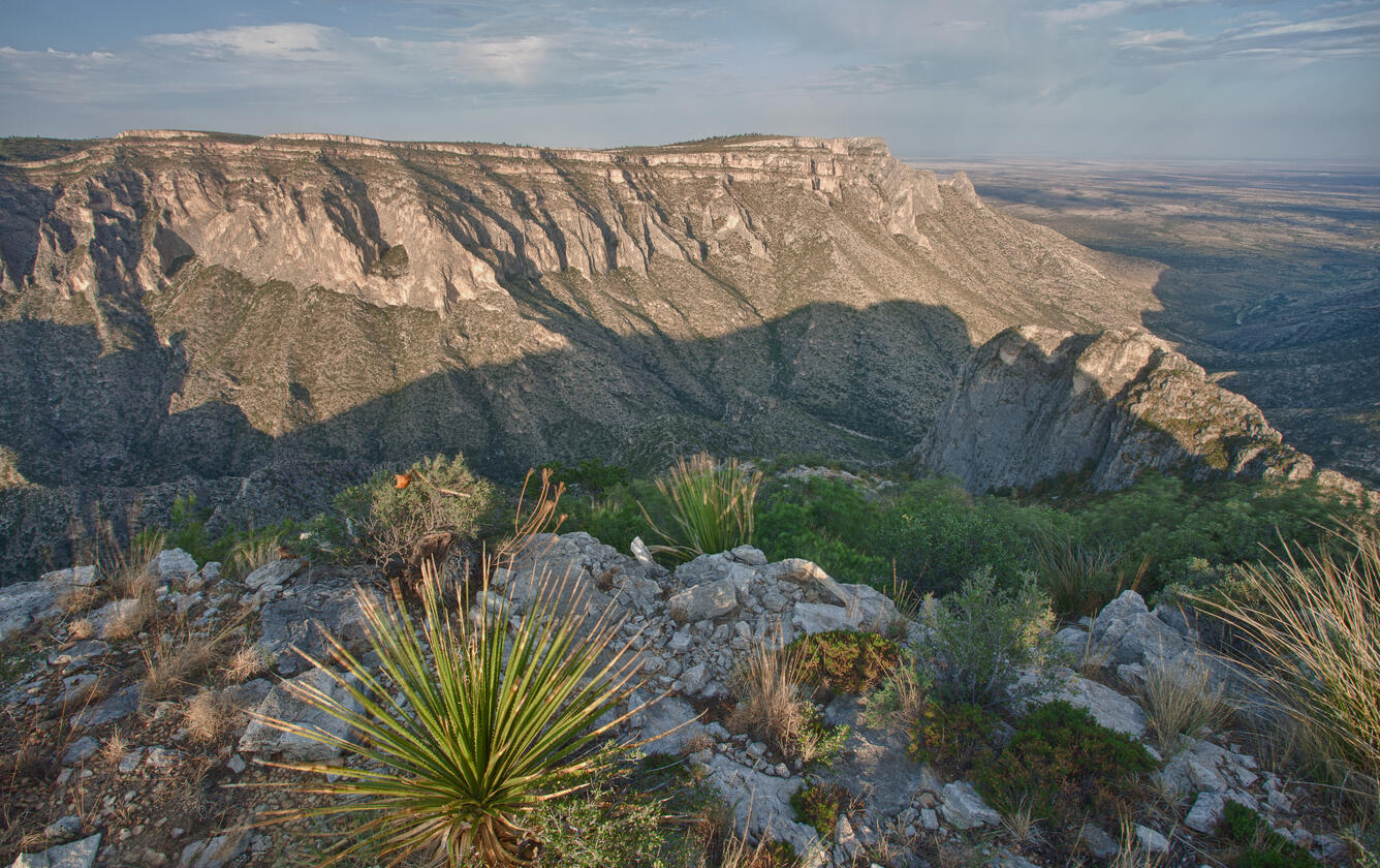 a large mountain ridge, with desert plants in the foreground