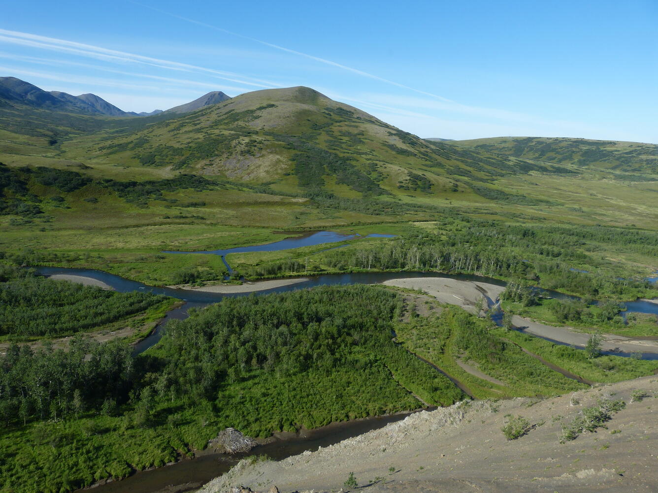 A green landscape with mountains and a river dotted with patches of forest